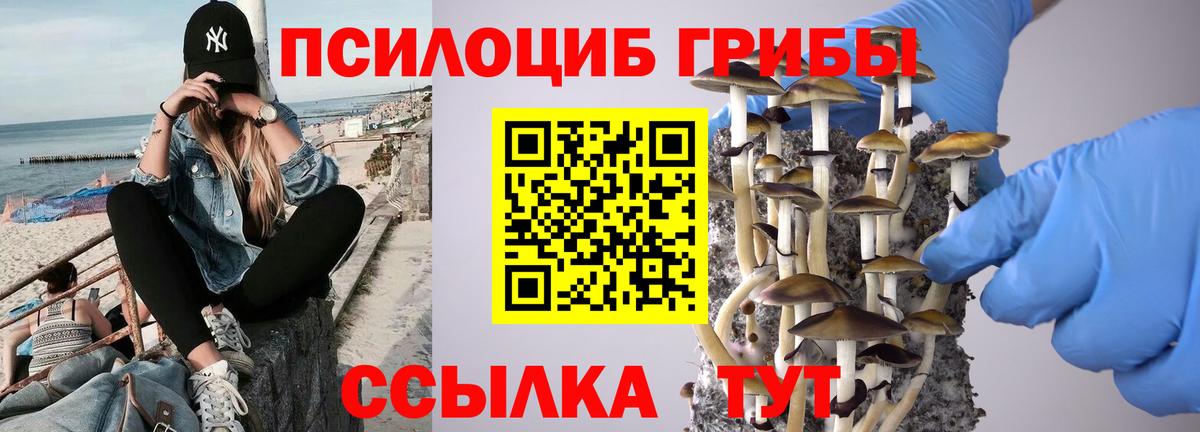 Псилоцибиновые грибы прущие грибы  Вход с VPN  Красный Сулин  Галлюциногенные грибы Magic Shrooms 